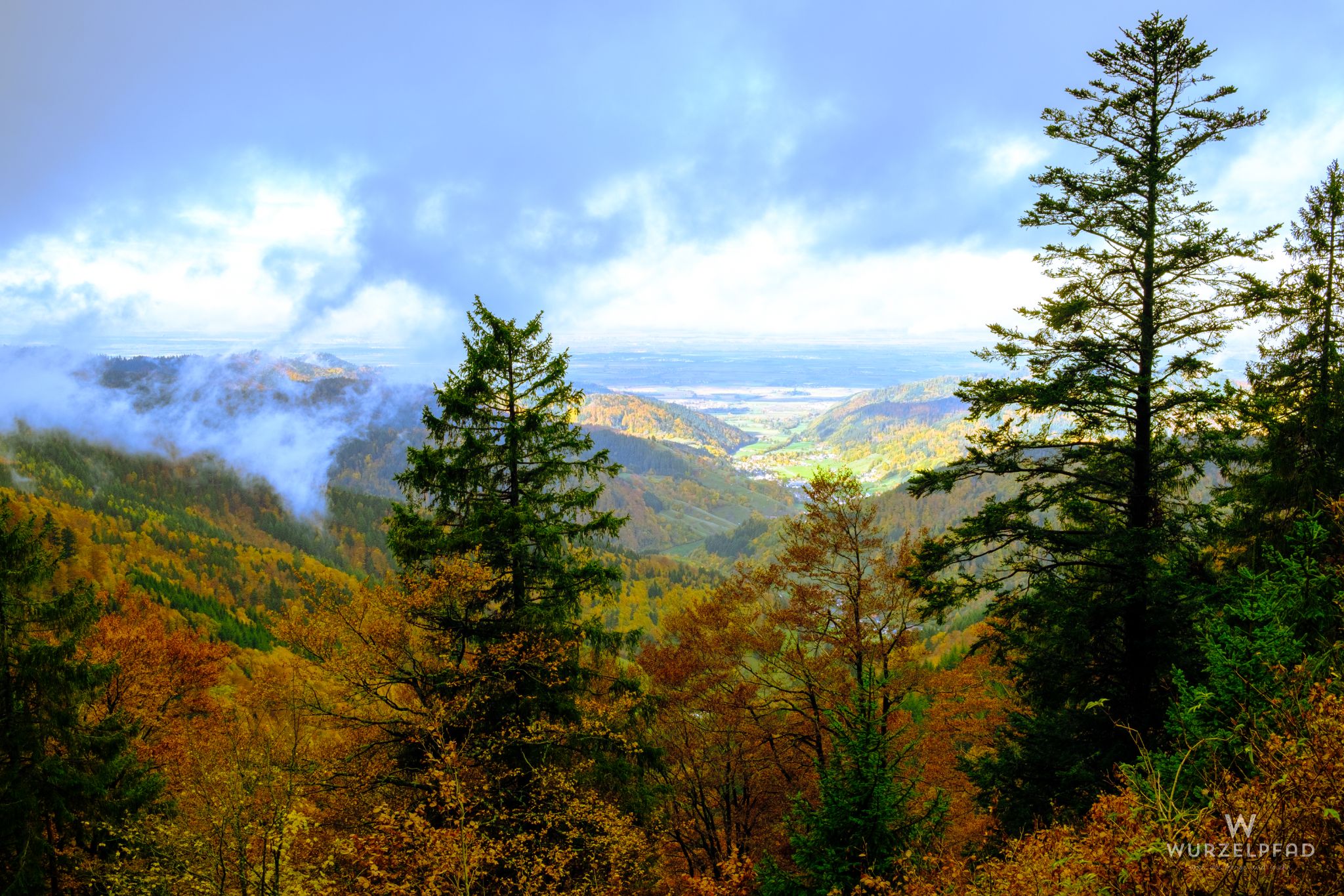 Blick hinab zur Rheinebene